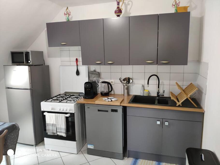 Joli Appartement Avec Place De Parking Prive كولمار المظهر الخارجي الصورة