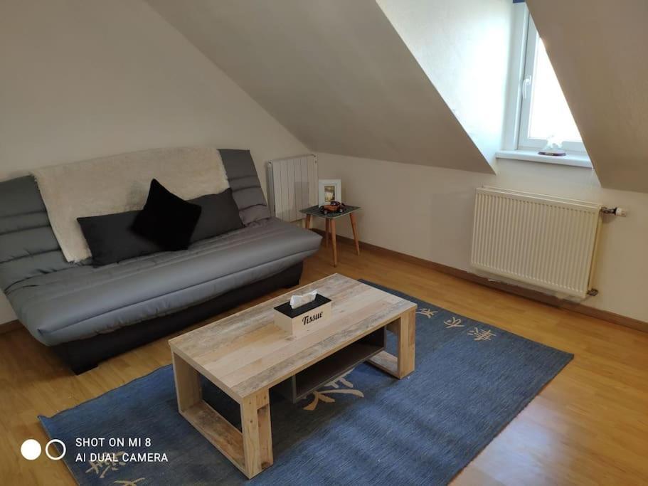 Joli Appartement Avec Place De Parking Prive كولمار المظهر الخارجي الصورة