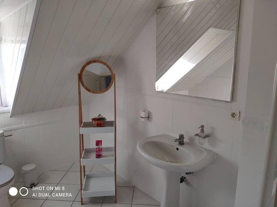 Joli Appartement Avec Place De Parking Prive كولمار المظهر الخارجي الصورة