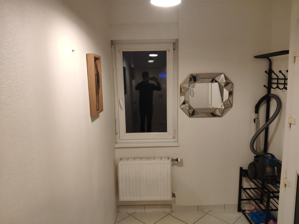 Joli Appartement Avec Place De Parking Prive كولمار المظهر الخارجي الصورة
