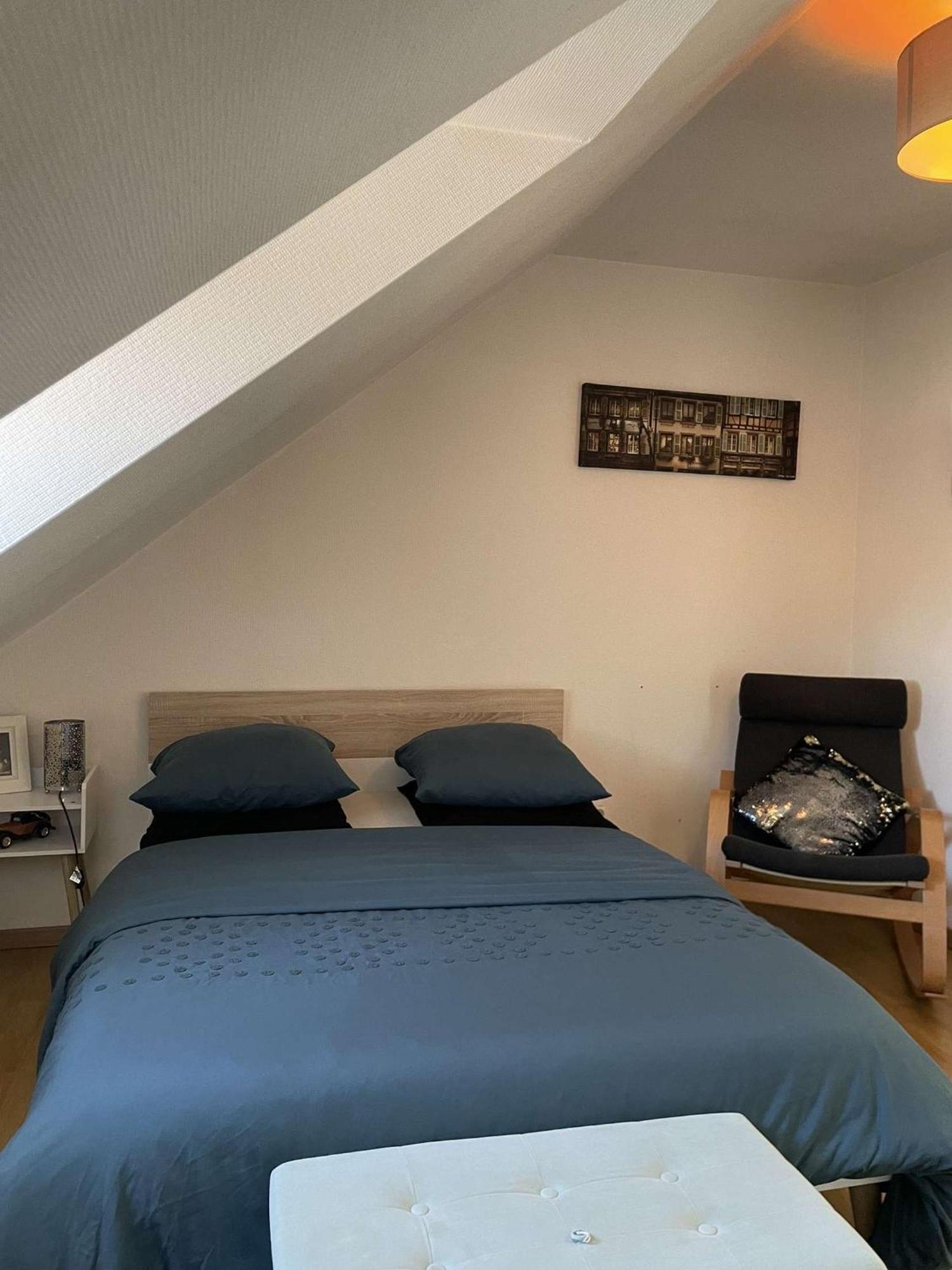 Joli Appartement Avec Place De Parking Prive كولمار المظهر الخارجي الصورة